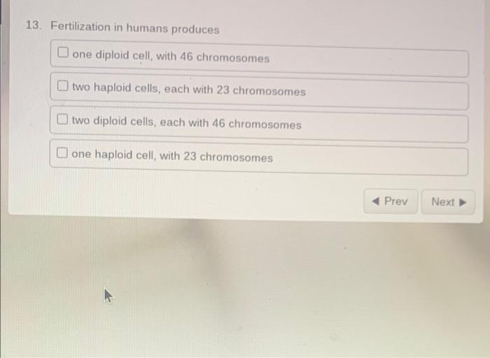 Use The Following Information To Answer The Next Question Dna Base Analysis Guanine X Y Z Base Of Base In Sample 22 28 2