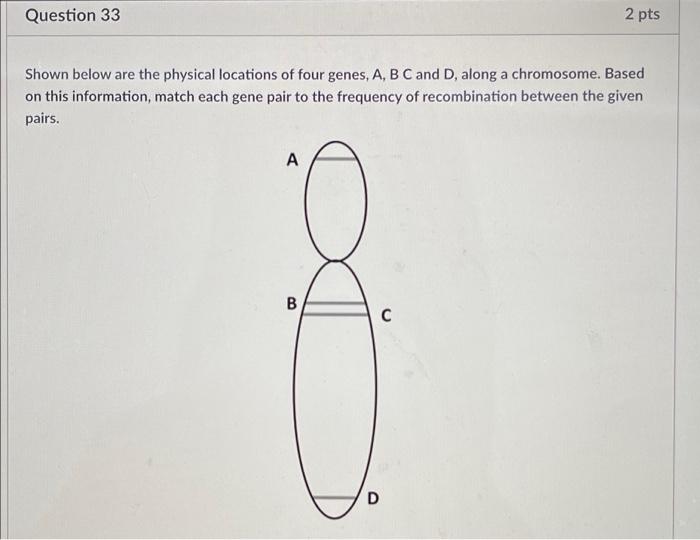 Question 33 2 Pts Shown Below Are The Physical Locations Of Four Genes A B C And D Along A Chromosome Based On This 1