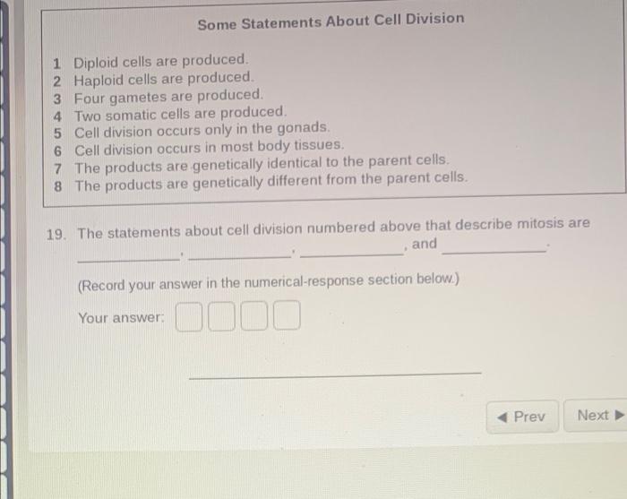 Some Statements About Cell Division 1 Diploid Cells Are Produced 2 Haploid Cells Are Produced 3 Four Gametes Are Produc 1
