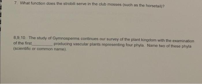 7 Gemmae Cups In Marchantia Are Structures Involved In 7 What Function Does The Strobili Serve In The Club Mosses 2