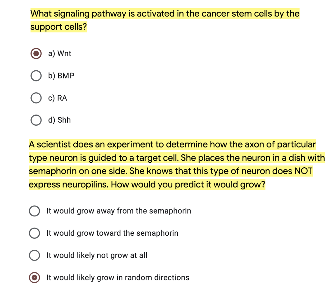 What Signaling Pathway Is Activated In The Cancer Stem Cells By The Support Cells A Wnt O B Bmp Ra O D Shh A Scienti 1