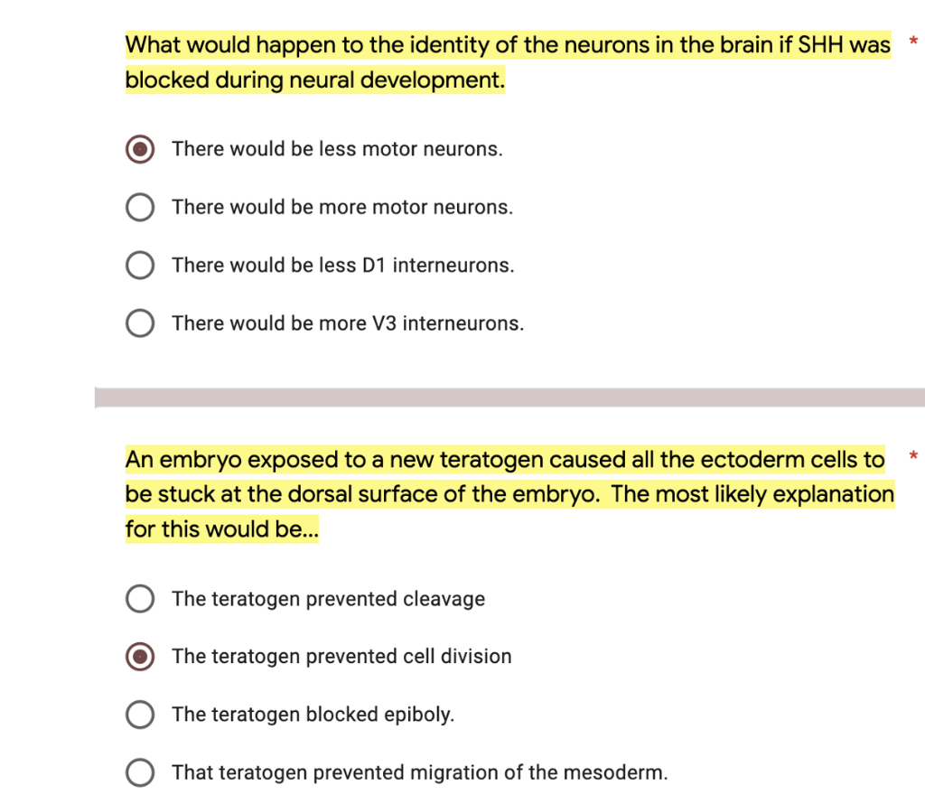 What Would Happen To The Identity Of The Neurons In The Brain If Shh Was Blocked During Neural Development There Woul 1