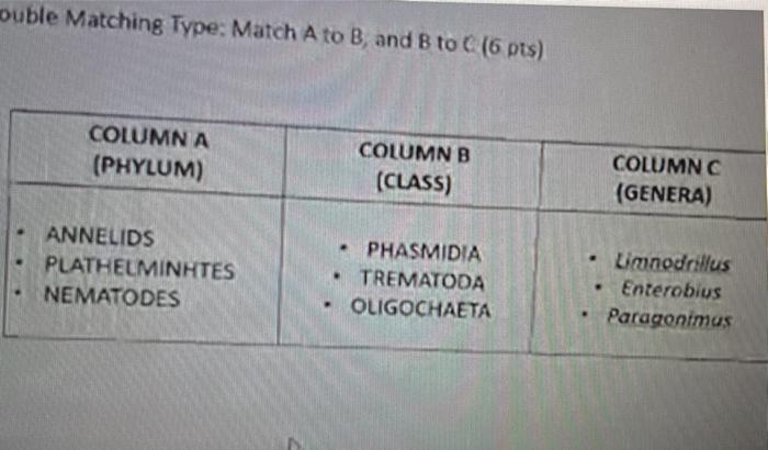 Ouble Matching Type Match A To B And B To C 6 Pts Columna Phylum Columnb Class Columnc Genera Annelids Plathel 1