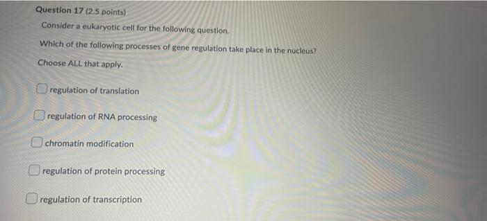 Question 17 2 5 Points Consider A Eukaryotic Cell For The Following Question Which Of The Following Processes Of Gene 1