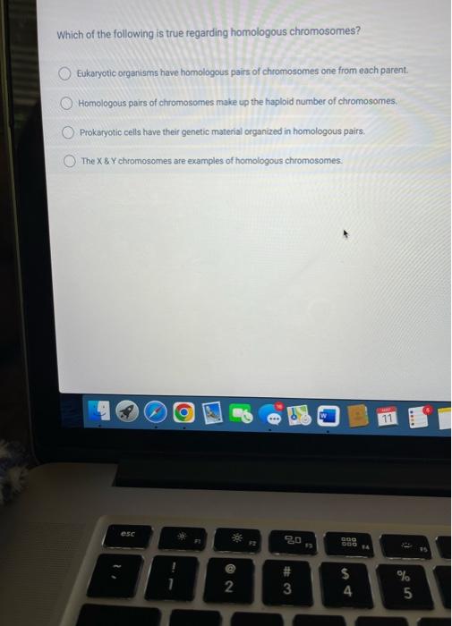 If The Sequence Of The 5 3 Strand Is Taccgact Then The Complementary Sequence Has The Following Sequence 3 Cgaaagac 5 5