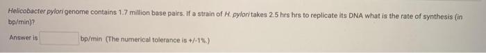 Helicobacter Pylori Genome Contains 1 7 Million Base Pairs If A Strain Of H Pylori Takes 2 5 Hrs Hrs To Replicate Its D 1