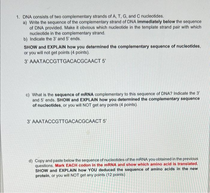 1 Dna Consists Of Two Complementary Strands Of A T G And C Nucleotides A Write The Sequence Of The Complementary S 1