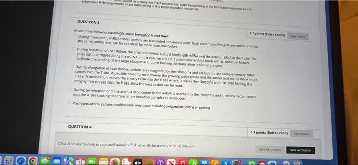 In Care Urmator Karych Apoyo Ingepolder Question 3 Pointstraten Which Of The Following About More During Translation T 1