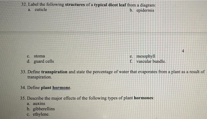 32 Label The Following Structures Of A Typical Dicot Leaf From A Diagram A Cuticle B Epidermis 4 C Stoma D Guard C 1