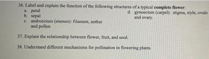 36 Label And Explain The Function Of The Following Structures Of A Typical Complete Flower A Petal D Gynoecium Carp 1