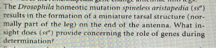 The Drosophila Homeotic Mutation Spineless Aristapedia Ss Results In The Formation Of A Miniature Tarsal Structure 1