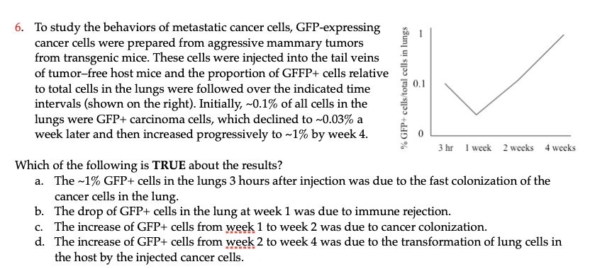 6 To Study The Behaviors Of Metastatic Cancer Cells Gfp Expressing Cancer Cells Were Prepared From Aggressive Mammary 1