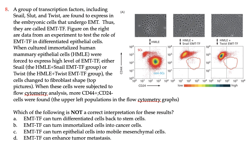6 To Study The Behaviors Of Metastatic Cancer Cells Gfp Expressing Cancer Cells Were Prepared From Aggressive Mammary 2