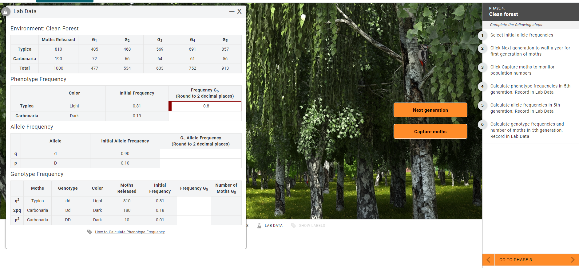 Lab Data X Phase 4 Clean Forest Complete The Following Steps Environment Clean Forest 1 Select Initial Allele Frequ 1