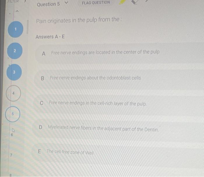 Filter Question 5 Flag Question Pain Originates In The Pulp From The Answers A E 2 A Free Nerve Endings Are Located In T 1