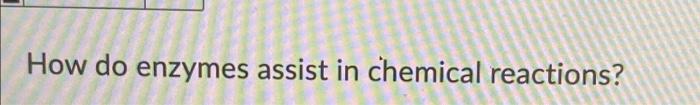 Match The Term With The Correct Description Or Definition Found Within Root Nodules 1 Chemolithotrophs Groups Of Organi 3