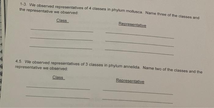 1 3 We Observed Representatives Of 4 Classes In Phylum Mollusca Name Three Of The Classes And The Representative We Ob 1