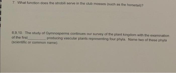 1 3 We Observed Representatives Of 4 Classes In Phylum Mollusca Name Three Of The Classes And The Representative We Ob 3
