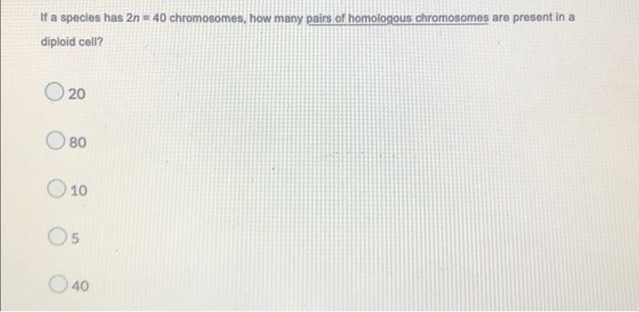 If A Species Has 2n 40 Chromosomes How Many Pairs Of Homologous Chromosomes Are Present In A Diploid Cell 20 80 10 0 1