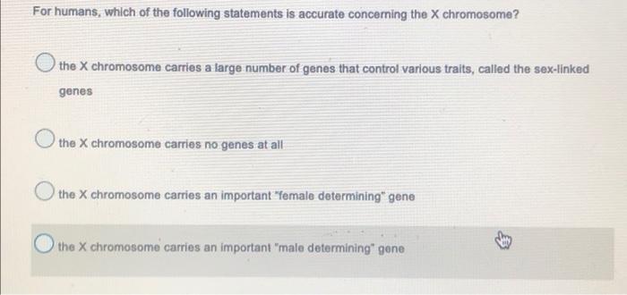 For Humans Which Of The Following Statements Is Accurate Concerning The X Chromosome The X Chromosome Carries A Large 1