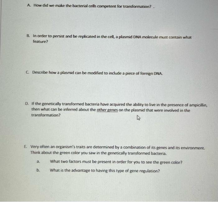 A How Did We Make The Bacterial Cells Competent For Transformation B In Order To Persist And Be Replicated In The Ce 1