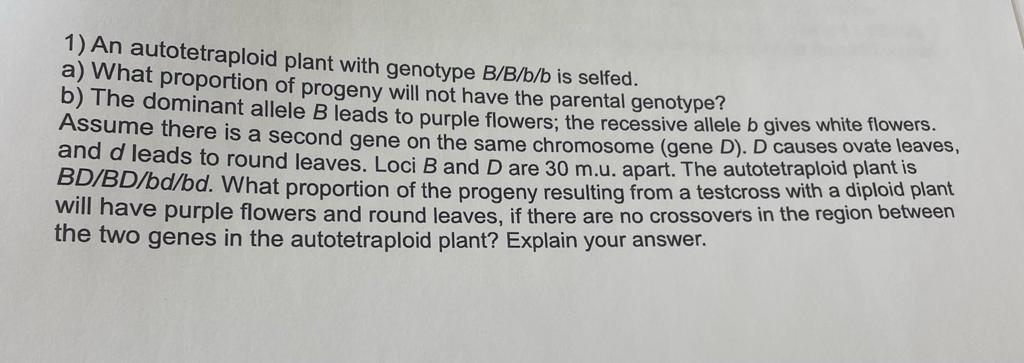 1 An Autotetraploid Plant With Genotype B B B B Is Selfed A What Proportion Of Progeny Will Not Have The Parental Gen 1