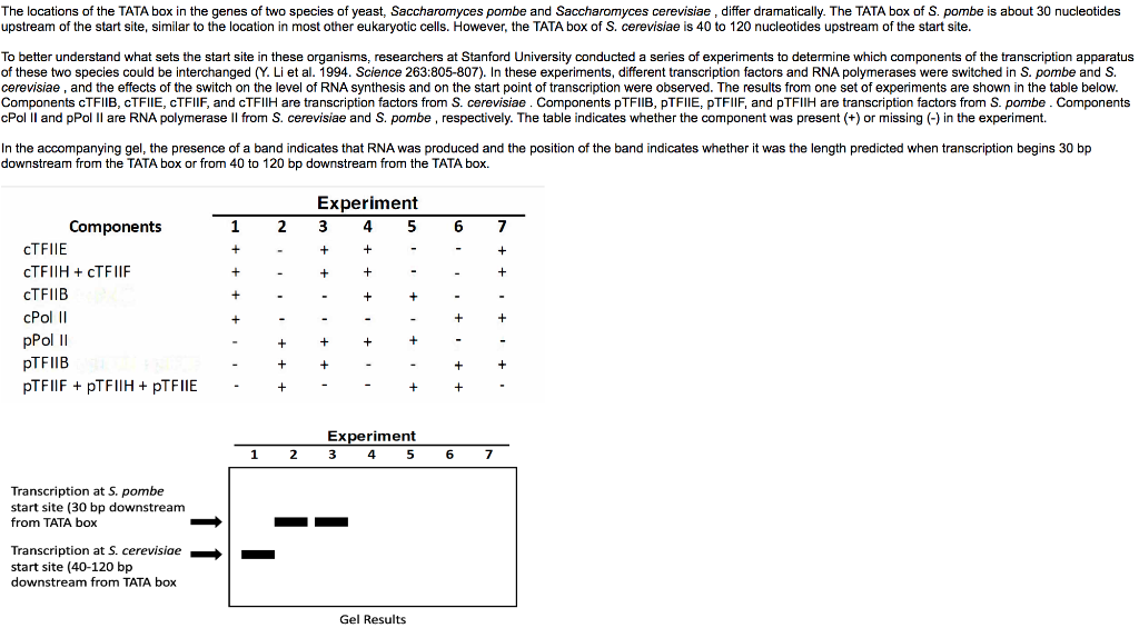 The Locations Of The Tata Box In The Genes Of Two Species Of Yeast Saccharomyces Pombe And Saccharomyces Cerevisiae D 1