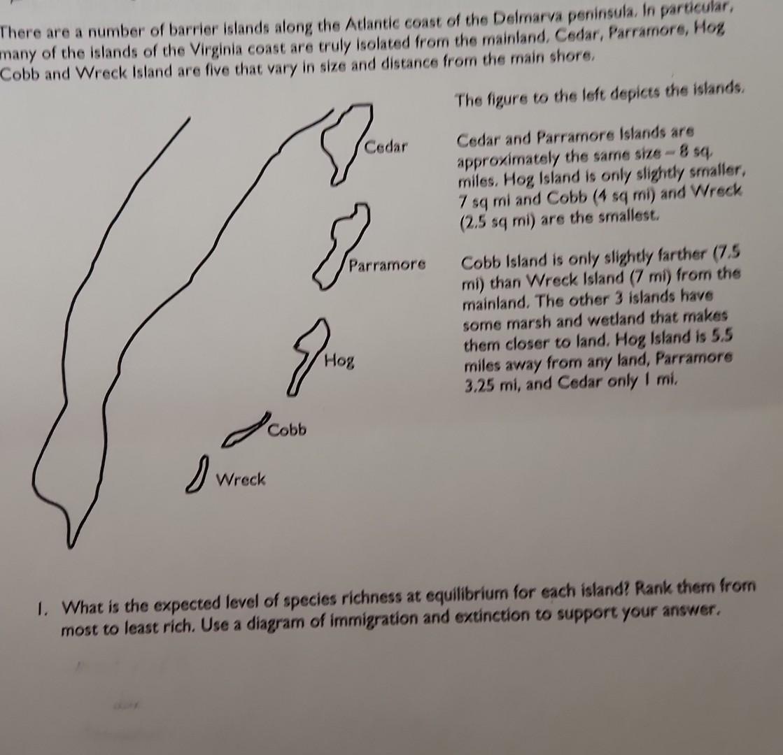 2 Both Cedar And Parramore Islands Are Shrinking Due To Erosion Of The Sand A Typical Characteristic Of Barrier Island 3