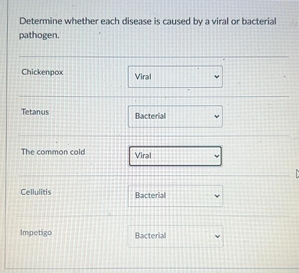 Determine Whether Each Disease Is Caused By A Viral Or Bacterial Pathogen Chickenpox Viral Tetanus Bacterial The Co 1