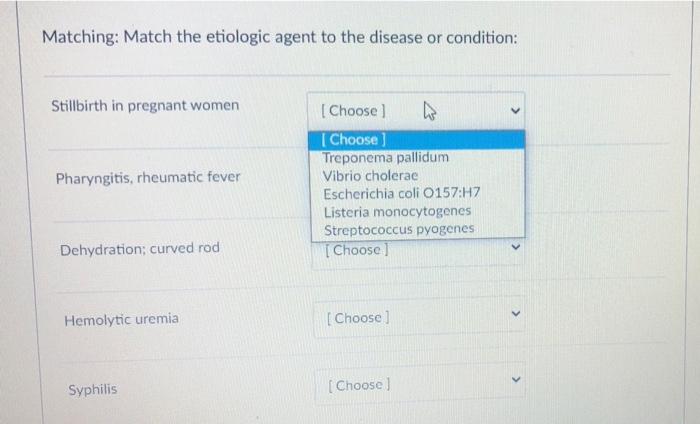 Matching Match The Etiologic Agent To The Disease Or Condition Stillbirth In Pregnant Women Pharyngitis Rheumatic Fev 1