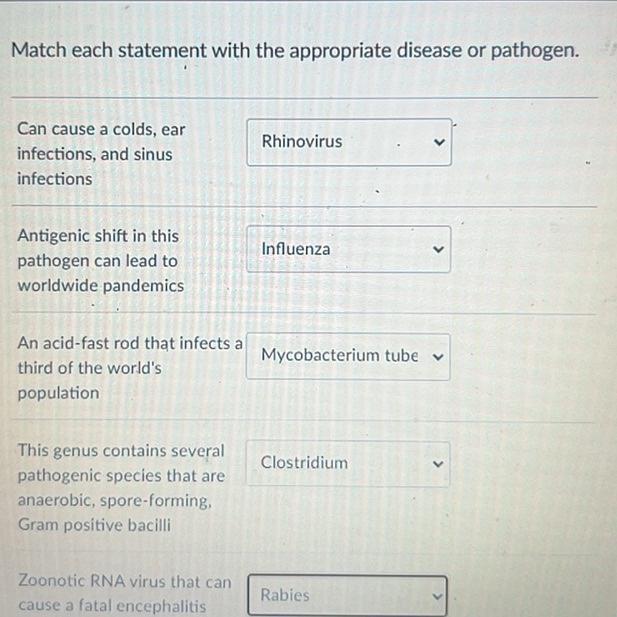 Match Each Statement With The Appropriate Disease Or Pathogen Rhinovirus Can Cause A Colds Ear Infections And Sinus I 1