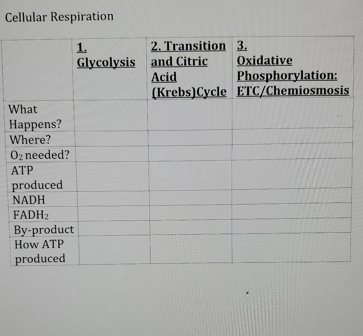 Cellular Respiration 1 2 Transition 3 Glycolysis And Citric Oxidative Acid Phosphorylation Krebs Cycle Etc Chemiosm 1