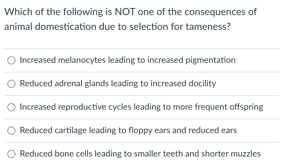 Which Of The Following Is Not One Of The Consequences Of Animal Domestication Due To Selection For Tameness O Increased 1