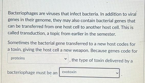 The First Opwtion Is Either Proteins Or Lipids And The Second Option Is Either Endotoxin Or Exotoxin 1