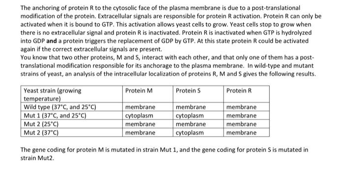 The Anchoring Of Protein R To The Cytosolic Face Of The Plasma Membrane Is Due To A Post Translational Modification Of T 1