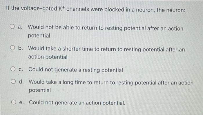 If The Voltage Gated K Channels Were Blocked In A Neuron The Neuron O A Would Not Be Able To Return To Resting Poten 1