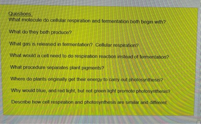Questions What Molecule Do Cellular Respiration And Fermentation Both Begin With What Do They Both Produce What Gas I 1