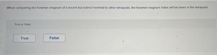 When Comparing The Formen Magnum Of A Recent But Extinct Hominid To Other Tetrapods The Foramen Magnum Index Will Be Lo 1