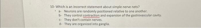 10 Which Is An Incorrect Statement About Simple Nerve Nets A Neurons Are Randomly Positioned Relative To One Another 1