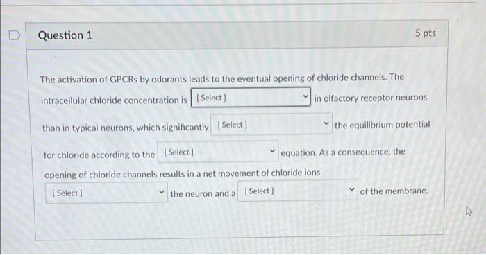 D Question 1 5 Pts The Activation Of Gpcrs By Odorants Leads To The Eventual Opening Of Chloride Channels The Intracell 1