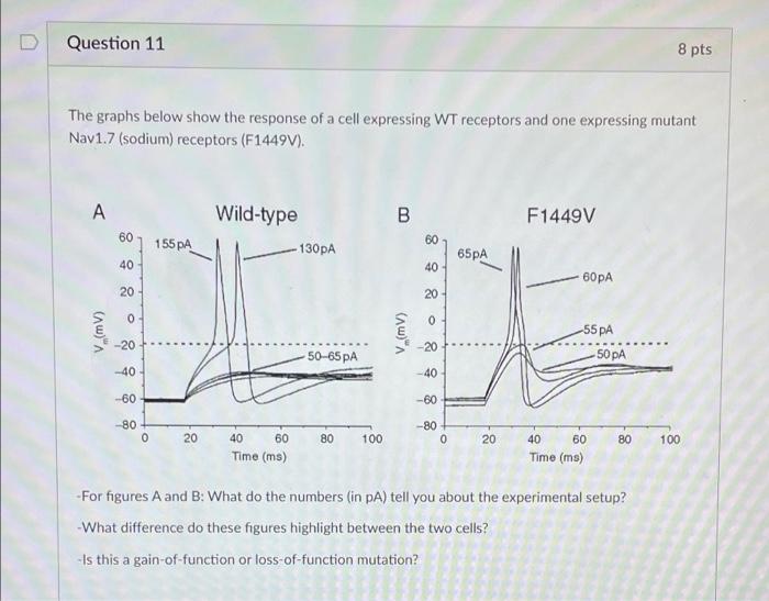Question 11 8 Pts The Graphs Below Show The Response Of A Cell Expressing Wt Receptors And One Expressing Mutant Nav1 7 1
