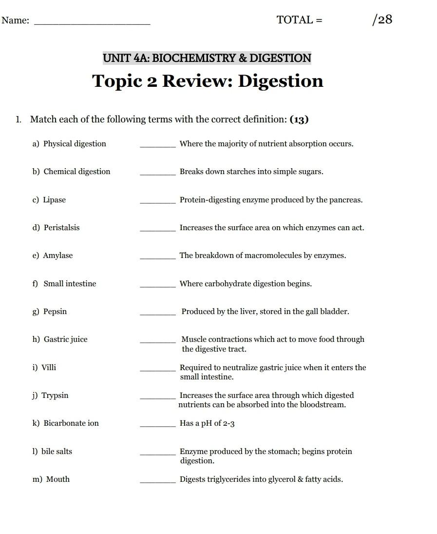 Name Total 28 Unit 4a Biochemistry Digestion Topic 2 Review Digestion 1 Match Each Of The Following Terms With 1
