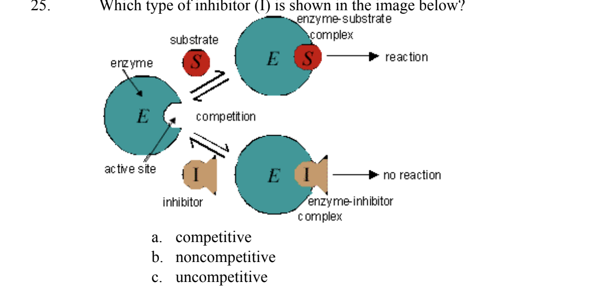 25 Which Type Of Inhibitor 1 Is Shown In The Image Below Enzyme Substrate Substrate Complex Enzyme Es Reaction E Com 1