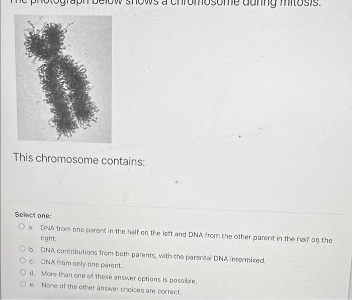 The Bio151 Protein Which You Isolated From Chloroplasts Consists Of 76 Amino Acids The N Terminus Of This Protein Is 5