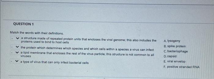 Question 1 Match The Words With Their Definitions V A Structure Made Of Repeated Protein Units That Encloses The Viral 1