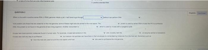 We Questions Wh Dna Www A Wom Will Have To Go Through V Before It Can Perfo H Is Used By Viruses Select Ese Might 1