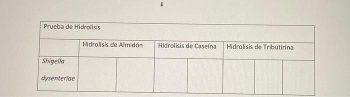 Prueba De Hidrolisis Hidrolisis De Almidon Hidrolisis De Caseina Hidrolisis De Tributirina Shigella Dysenteriae 2