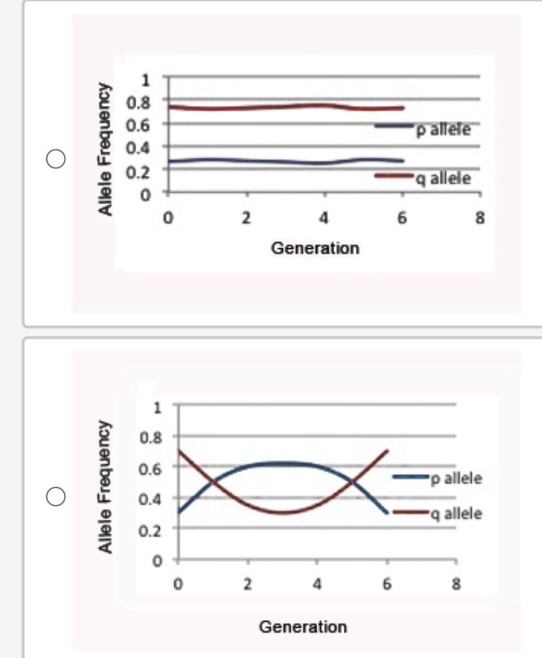 In A Species Of Fish An Observable Trait Is Determined By A Gene For Which There Are Only Two Alleles P And Q And P I 1