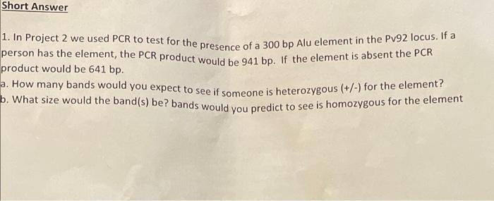 Short Answer 1 In Project 2 We Used Pcr To Test For The Presence Of A 300 Bp Alu Element In The Pv92 Locus If A Person 1