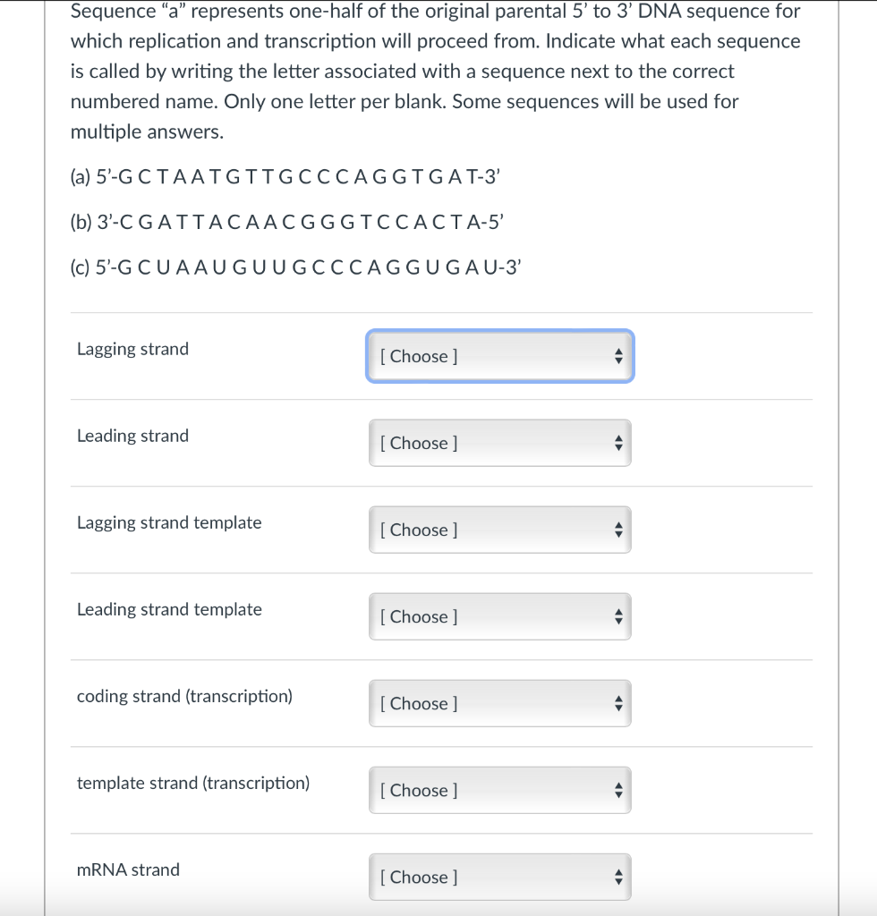 Sequence A Represents One Half Of The Original Parental 5 To 3 Dna Sequence For Which Replication And Transcription 1